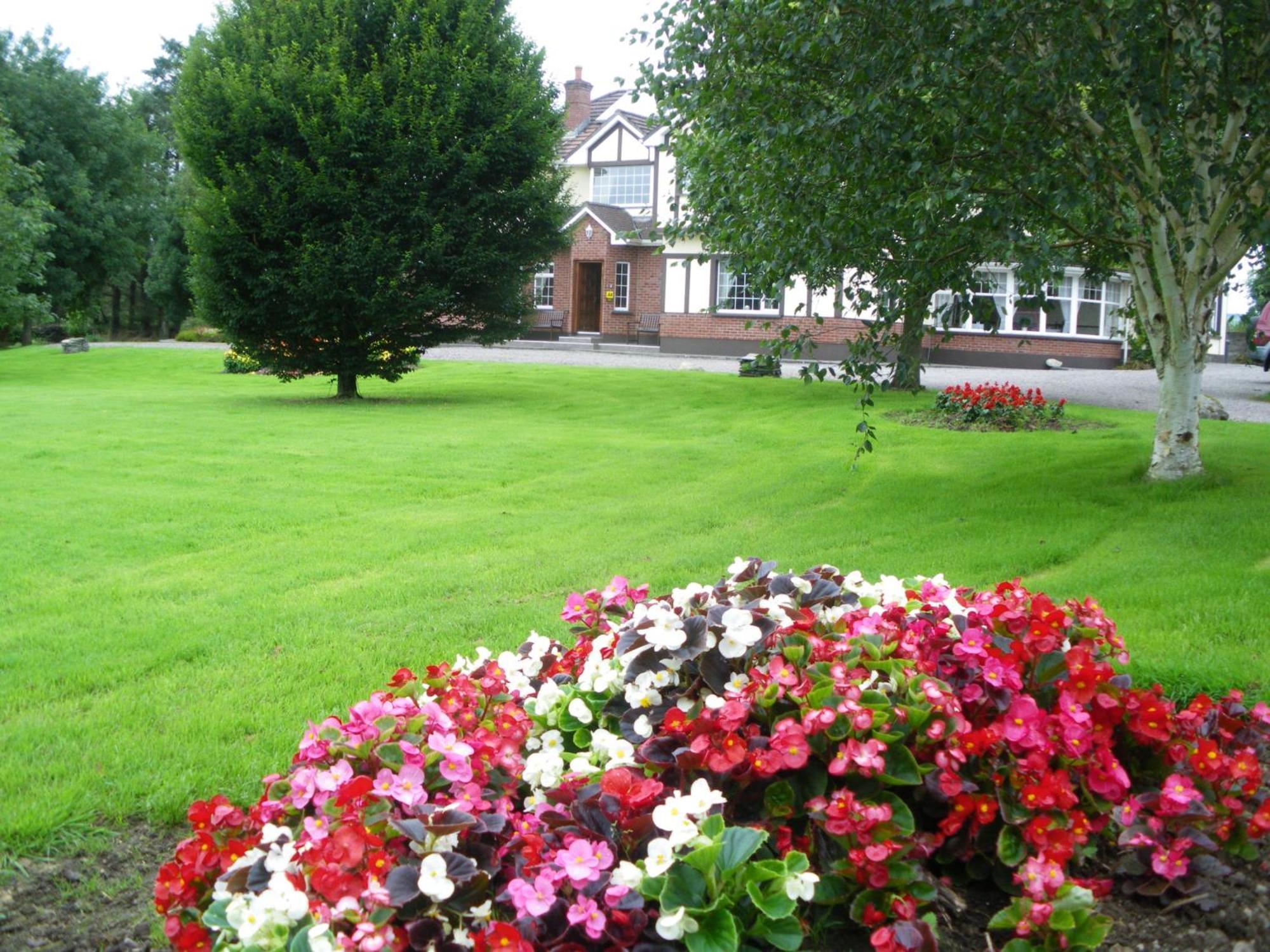 Redwood Bed and Breakfast Killarney Buitenkant foto