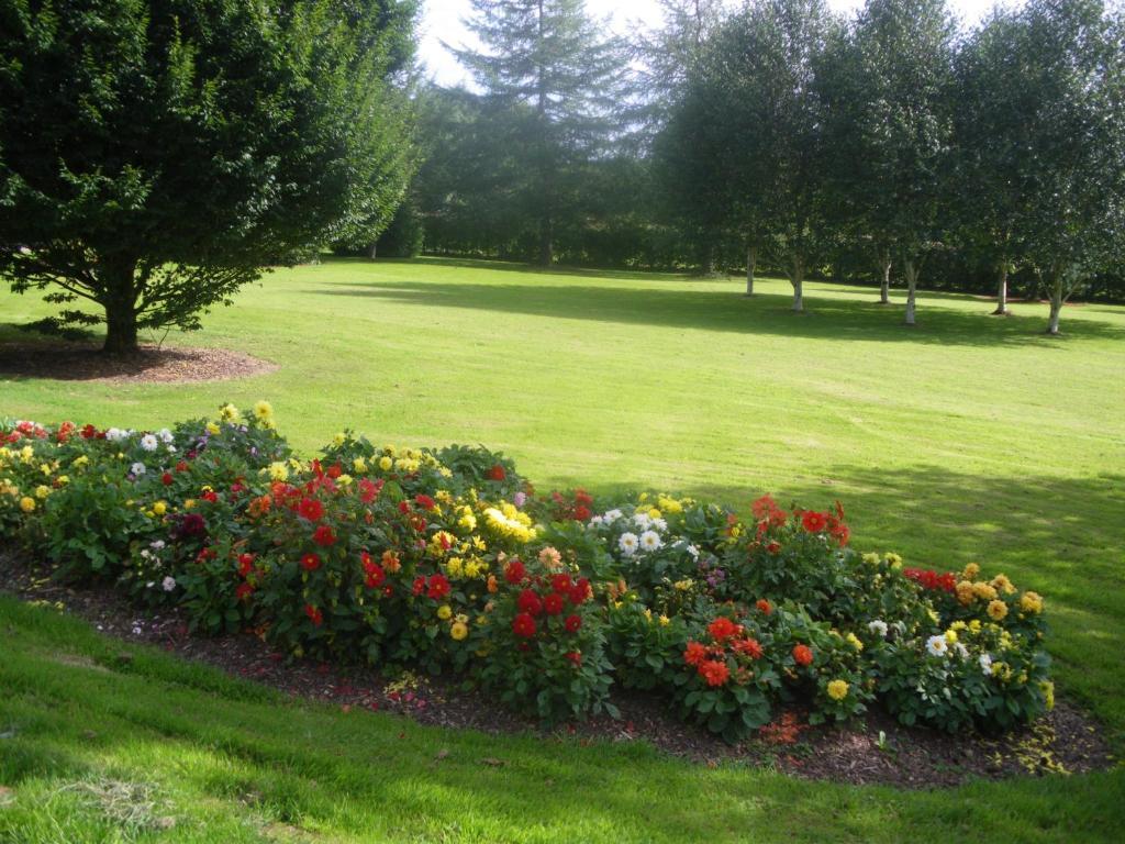 Redwood Bed and Breakfast Killarney Buitenkant foto